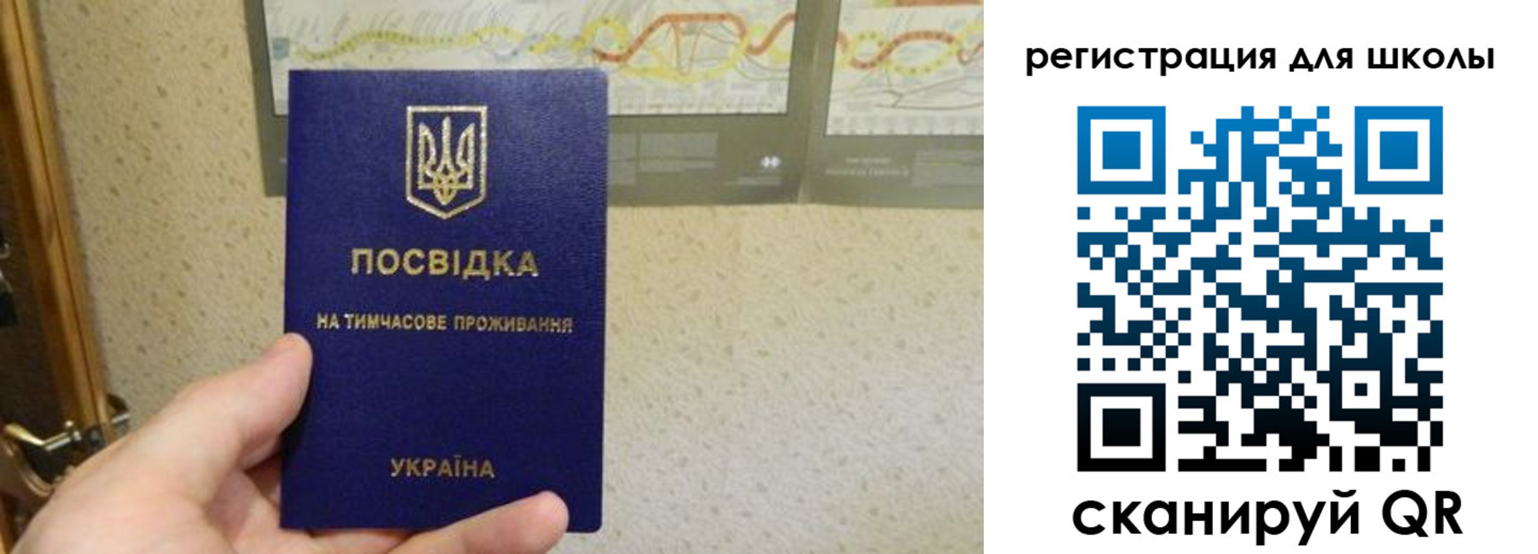 временная прописка в Полярных Зорях